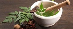 Ancient Wisdom for Modern Wellness: Ayurveda and Traditional Chinese Medicine l Aloee Wellness