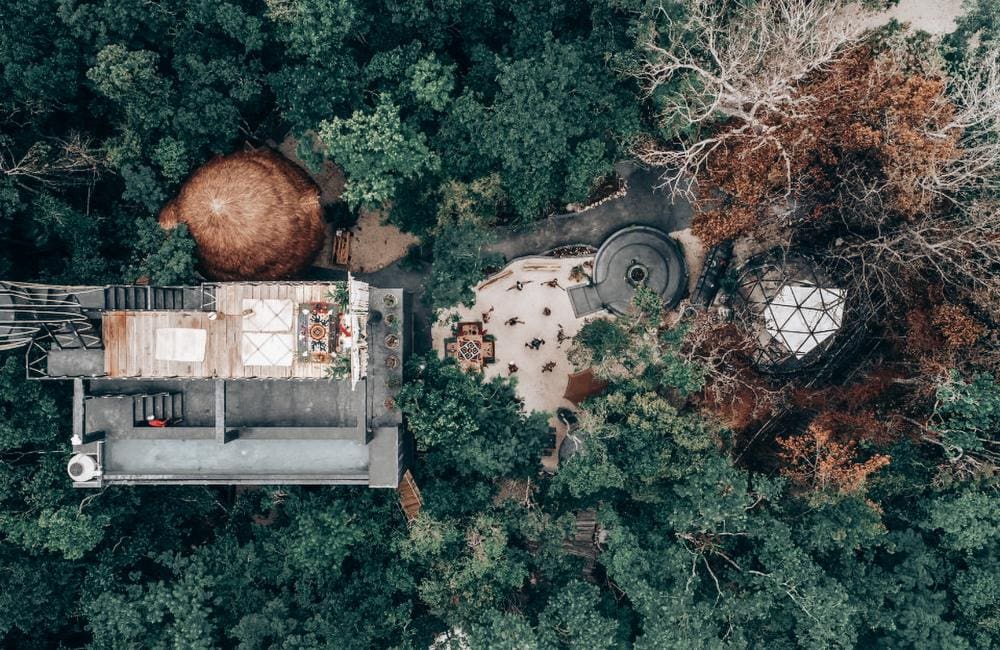 Ayahuasca Healing Ceremony l Aloee Wellness