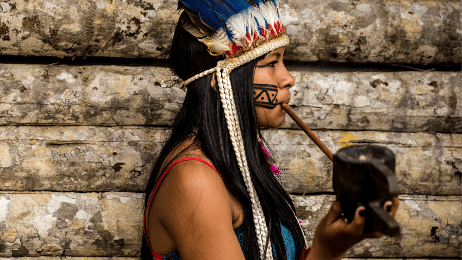 ayahuasca preparation questions to ask