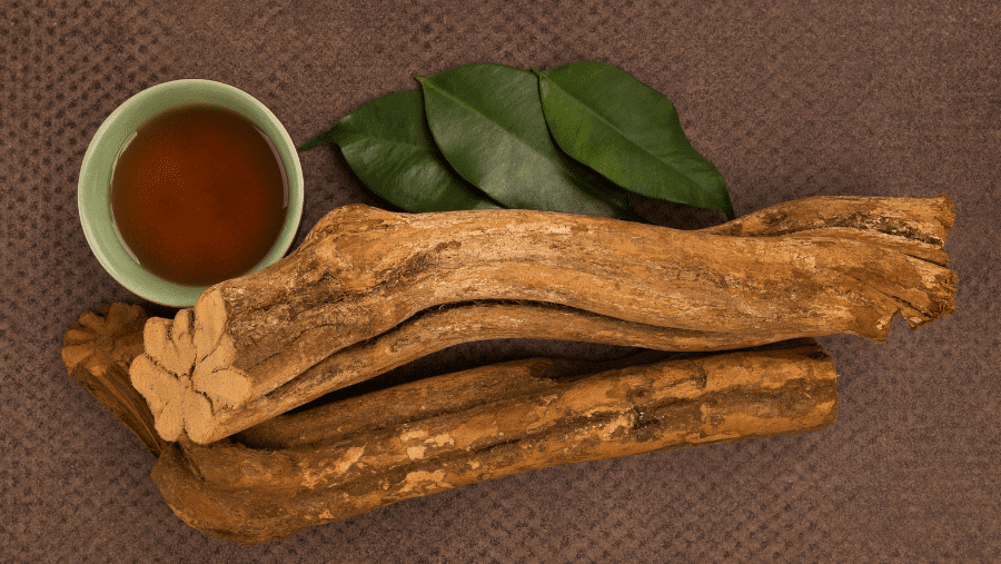 ayahuasca root and brew