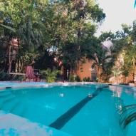 Reborn Healing Retreat 2026 l Aloee Wellness