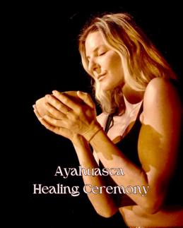 Ayahuasca Healing Ceremonny l Aloee Wellness