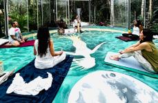 REBORN Holistic Healing Retreat l Aloee Wellness