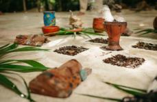 REBORN Holistic Healing Retreat l Aloee Wellness