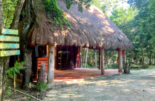 Private Jungle Healing Ceremony Cancun l Aloee Wellness