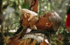 REBORN Holistic Healing Retreat l Aloee Wellness