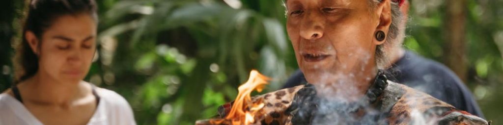 Ayahuasca Healing Ceremony l Aloee Wellness