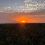 Reborn Healing Retreat 2026 l Aloee Wellness