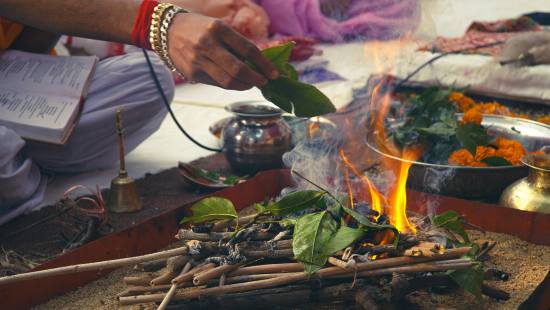 finding the right plant ceremony