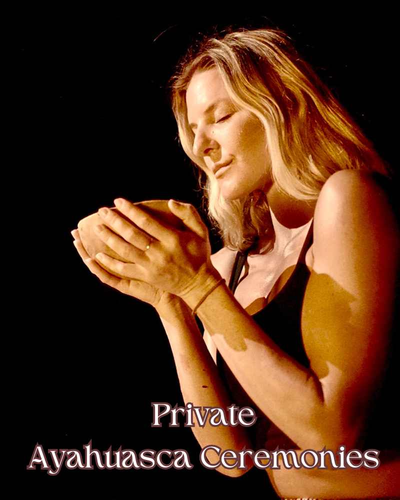Private ayahuasaca ceremonies l Aloee Wellness
