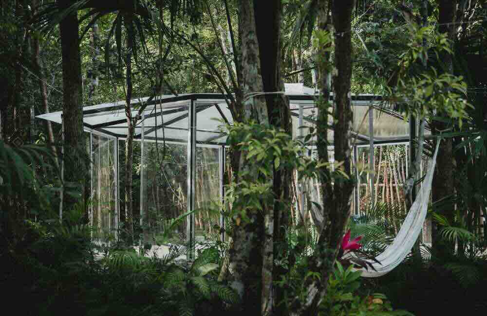 Aloee Private Retreats Venue l Aloee Wellness