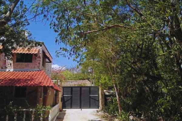 Bufo Tulum Location l Aloee Wellness