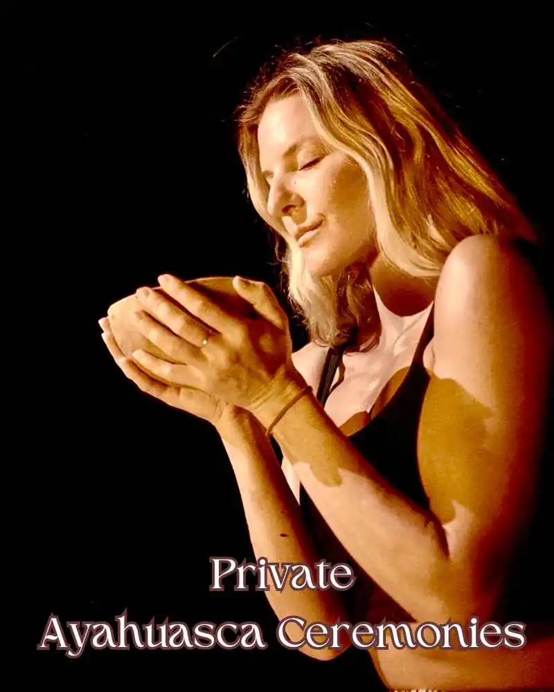Private ayahuasaca ceremonies l Aloee Wellness