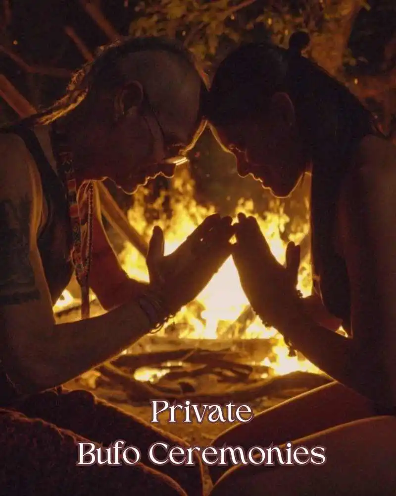 Private Bufo Ceremonies Tulum l Aloee Wellness
